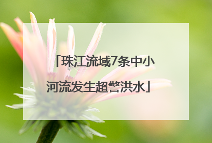 珠江流域7条中小河流发生超警洪水