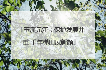 玉溪元江：保护发展并重 千年梯田展新颜