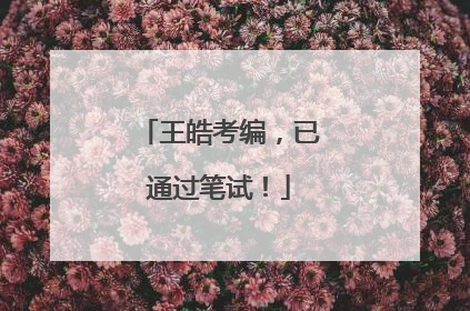 王皓考编，已通过笔试！