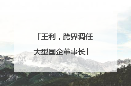 王利，跨界调任大型国企董事长
