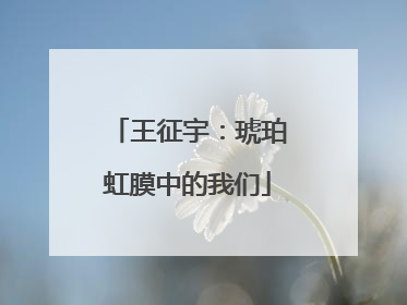 王征宇：琥珀虹膜中的我们