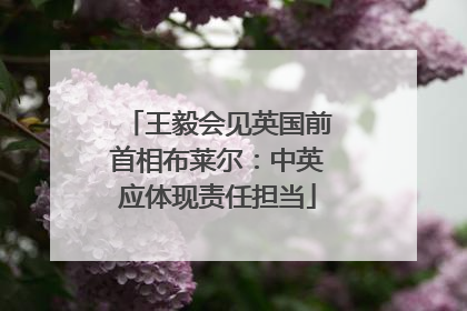 王毅会见英国前首相布莱尔：中英应体现责任担当
