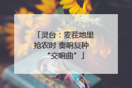 灵台：麦茬地里抢农时 奏响复种“交响曲”