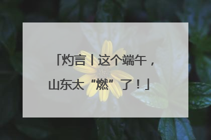灼言丨这个端午，山东太“燃”了！
