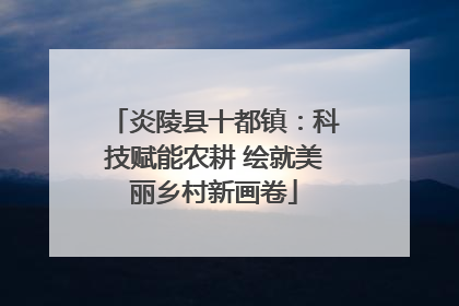 炎陵县十都镇：科技赋能农耕 绘就美丽乡村新画卷