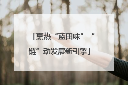 烹热“蓝田味”“链”动发展新引擎