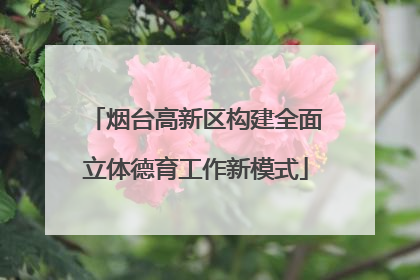 烟台高新区构建全面立体德育工作新模式