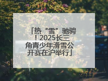 热“雪”驰骋！2025长三角青少年滑雪公开赛在沪举行