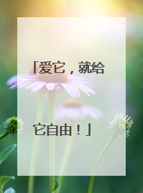 爱它，就给它自由！
