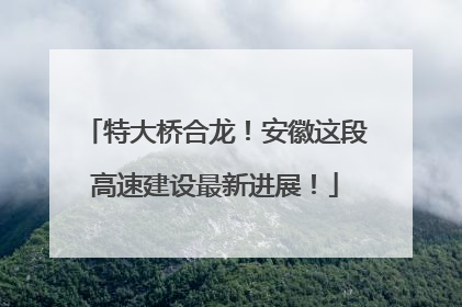 特大桥合龙！安徽这段高速建设最新进展！