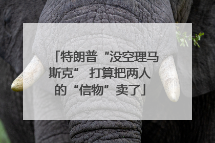 特朗普“没空理马斯克” 打算把两人的“信物”卖了