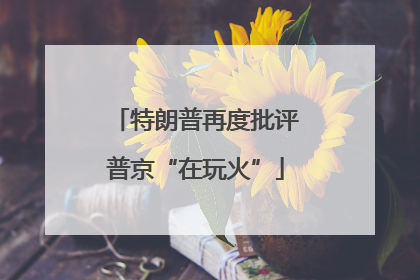 特朗普再度批评普京“在玩火”