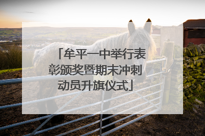 牟平一中举行表彰颁奖暨期末冲刺动员升旗仪式