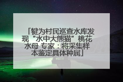 犍为村民巡查水库发现“水中大熊猫”桃花水母 专家：将采集样本鉴定具体种属