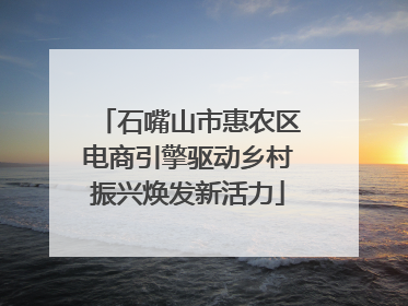 石嘴山市惠农区电商引擎驱动乡村振兴焕发新活力