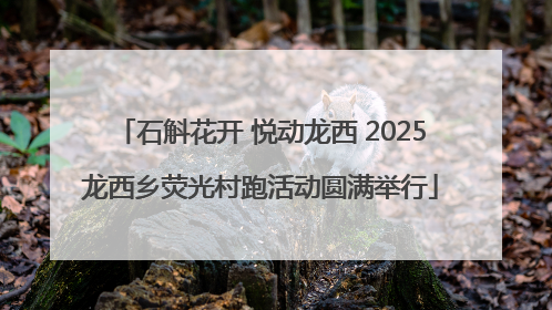 石斛花开 悦动龙西 2025龙西乡荧光村跑活动圆满举行