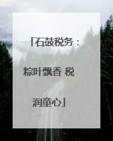 石鼓税务：粽叶飘香 税润童心