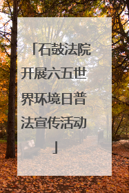 石鼓法院开展六五世界环境日普法宣传活动