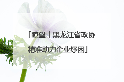瞭望丨黑龙江省政协精准助力企业纾困