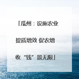 瓜州：设施农业提质增效 促农增收“钱”景无限