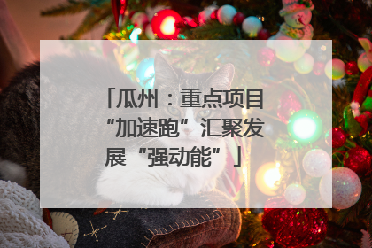 瓜州：重点项目“加速跑”汇聚发展“强动能”