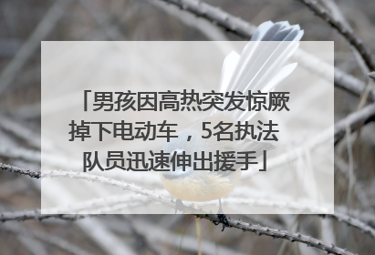 男孩因高热突发惊厥掉下电动车，5名执法队员迅速伸出援手