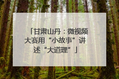 甘肃山丹：微视频大赛用“小故事”讲述“大道理”