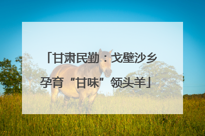 甘肃民勤：戈壁沙乡孕育“甘味”领头羊