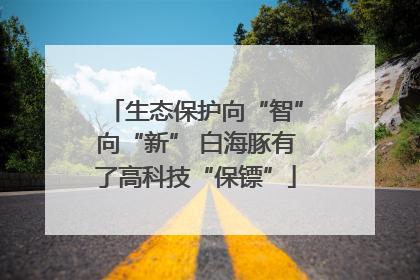 生态保护向“智”向“新” 白海豚有了高科技“保镖”