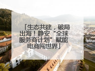 生态共建，破局出海！静安“全球服务商计划”赋能电商闯世界