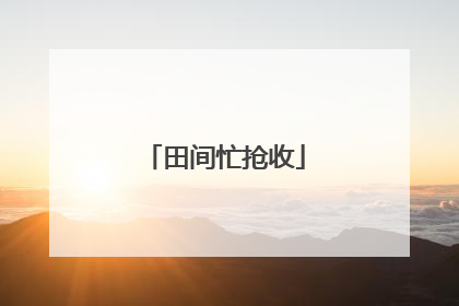 田间忙抢收