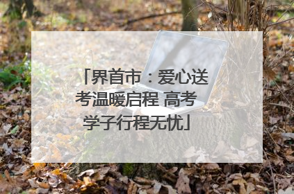 界首市：爱心送考温暖启程 高考学子行程无忧