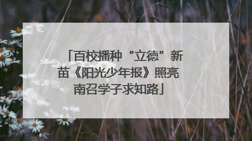百校播种“立德”新苗《阳光少年报》照亮南召学子求知路