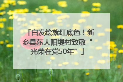 白发绘就红底色！新乡县东大阳堤村致敬“光荣在党50年”