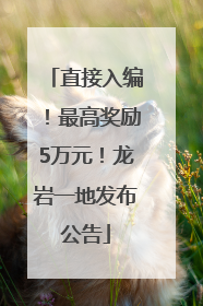 直接入编！最高奖励5万元！龙岩一地发布公告