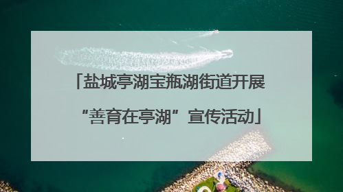 盐城亭湖宝瓶湖街道开展“善育在亭湖”宣传活动