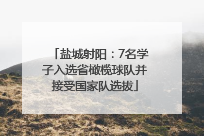 盐城射阳：7名学子入选省橄榄球队并接受国家队选拔