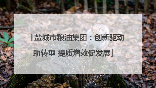 盐城市粮油集团：创新驱动助转型 提质增效促发展