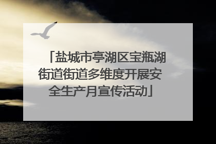 盐城市亭湖区宝瓶湖街道街道多维度开展安全生产月宣传活动