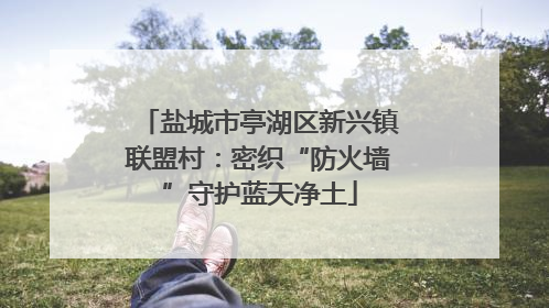 盐城市亭湖区新兴镇联盟村：密织“防火墙”守护蓝天净土