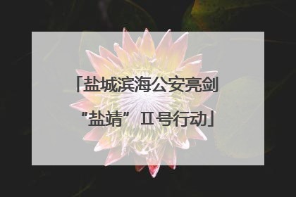 盐城滨海公安亮剑“盐靖”Ⅱ号行动