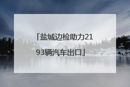 盐城边检助力2193辆汽车出口