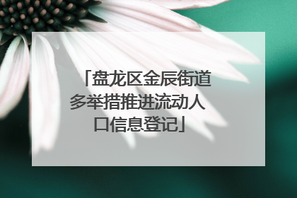 盘龙区金辰街道多举措推进流动人口信息登记