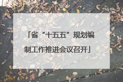 省“十五五”规划编制工作推进会议召开