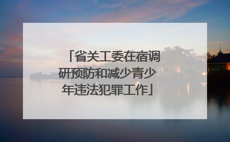 省关工委在宿调研预防和减少青少年违法犯罪工作