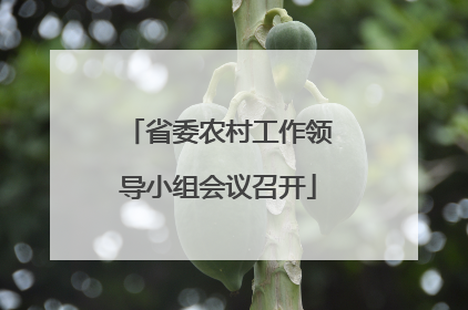 省委农村工作领导小组会议召开