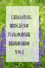 眉山市东坡区近58万亩水稻栽插面积超85%