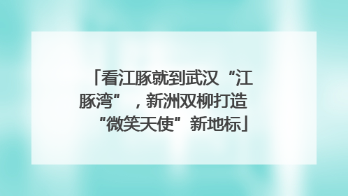 看江豚就到武汉“江豚湾”，新洲双柳打造“微笑天使”新地标