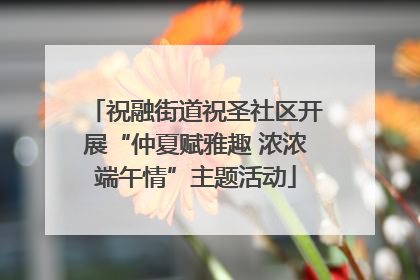 祝融街道祝圣社区开展“仲夏赋雅趣 浓浓端午情”主题活动