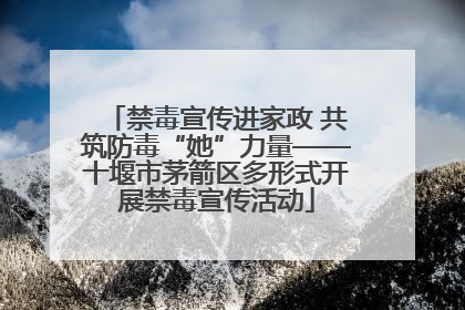 禁毒宣传进家政 共筑防毒“她”力量——十堰市茅箭区多形式开展禁毒宣传活动